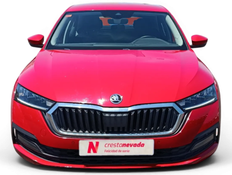 Imagen de Skoda Octavia