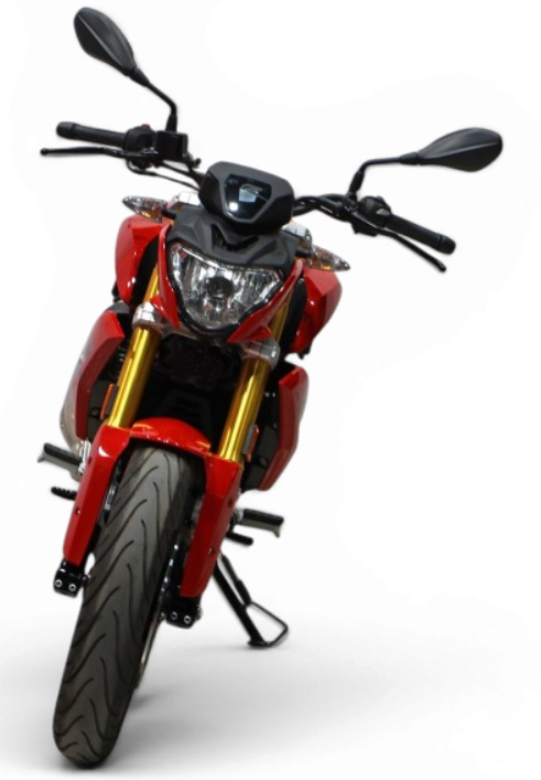 Imagen de BMW G 310 R