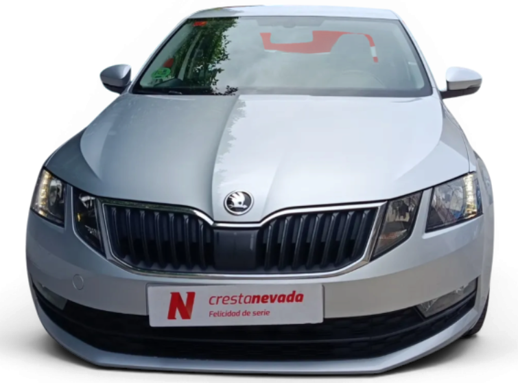 Imagen de Skoda Octavia