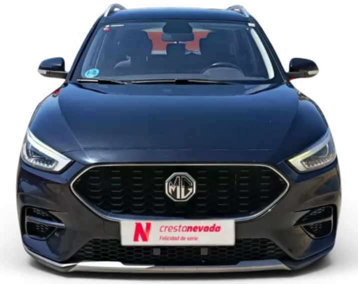 Imagen de Mg ZS
