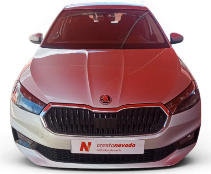Imagen de Skoda Fabia