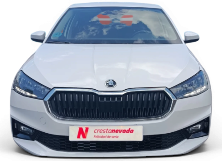Imagen de Skoda Fabia