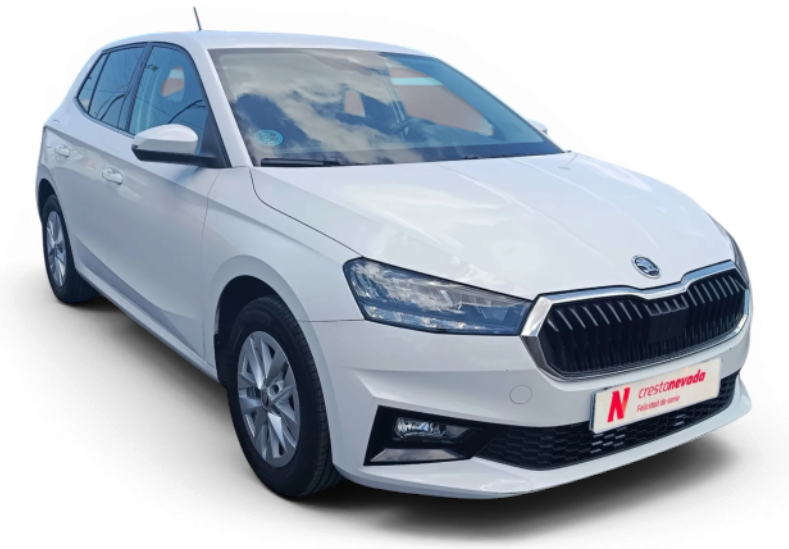 Imagen de Skoda Fabia