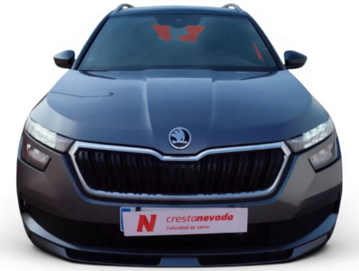 Imagen de Skoda Kamiq