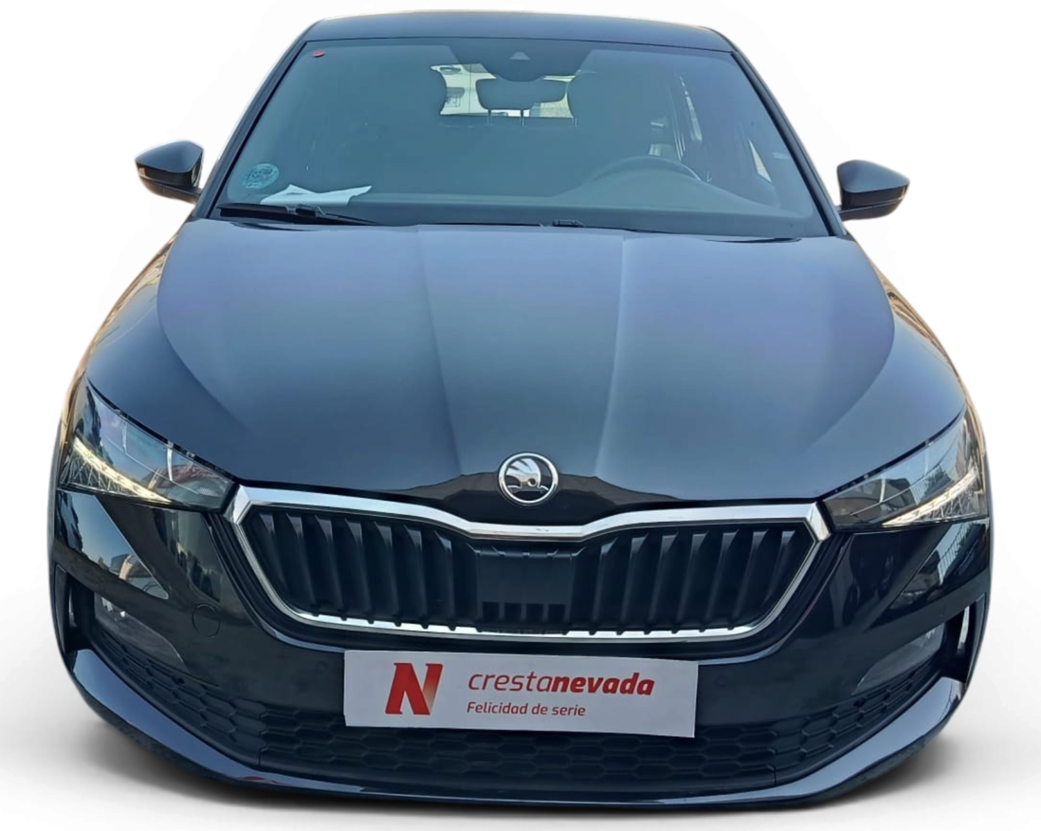 Imagen de Skoda Scala