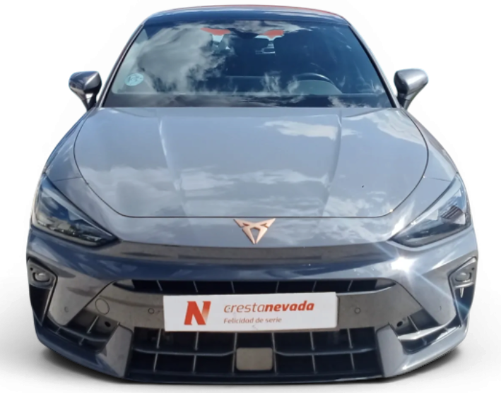 Imagen de cupra León
