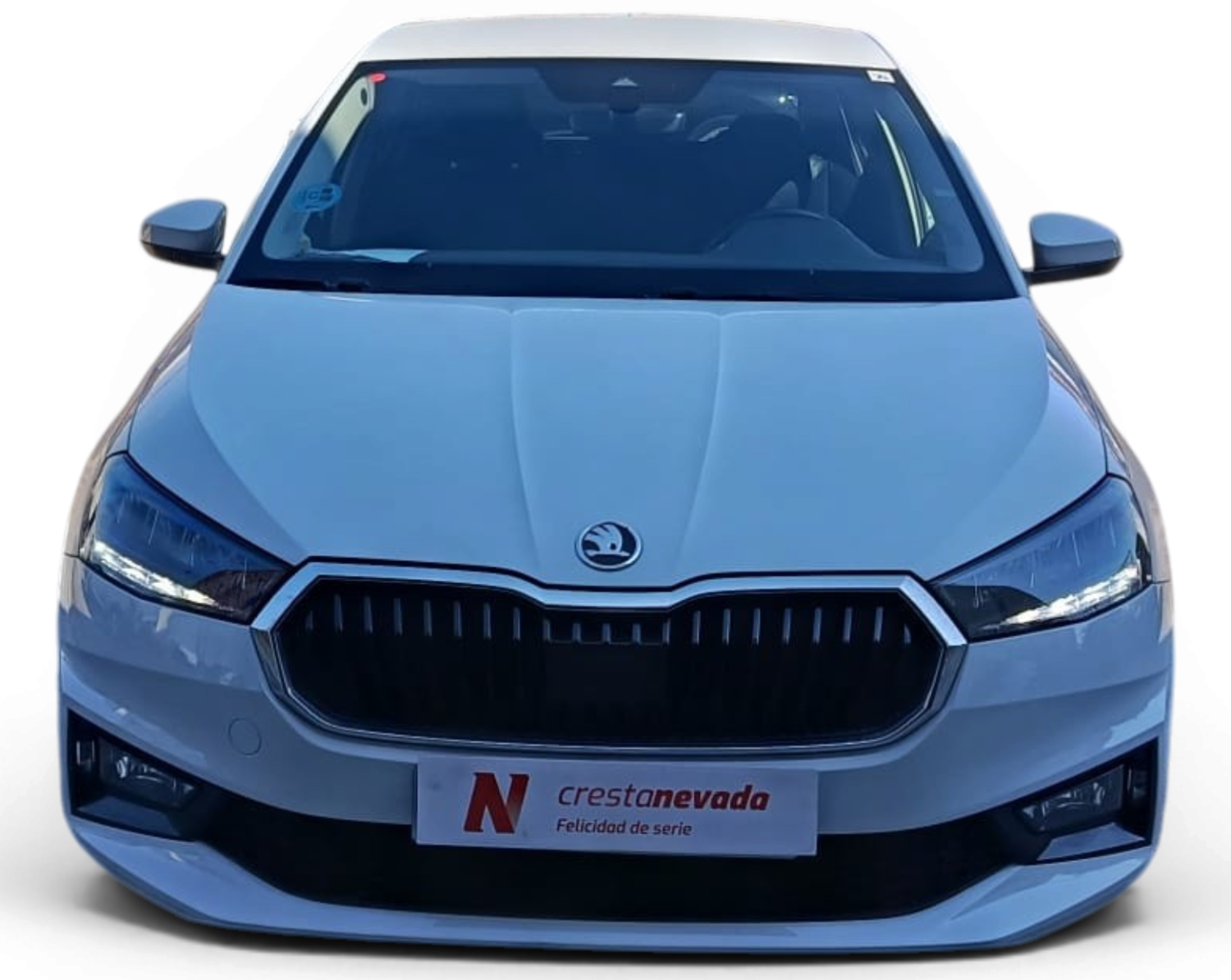 Imagen de Skoda Fabia