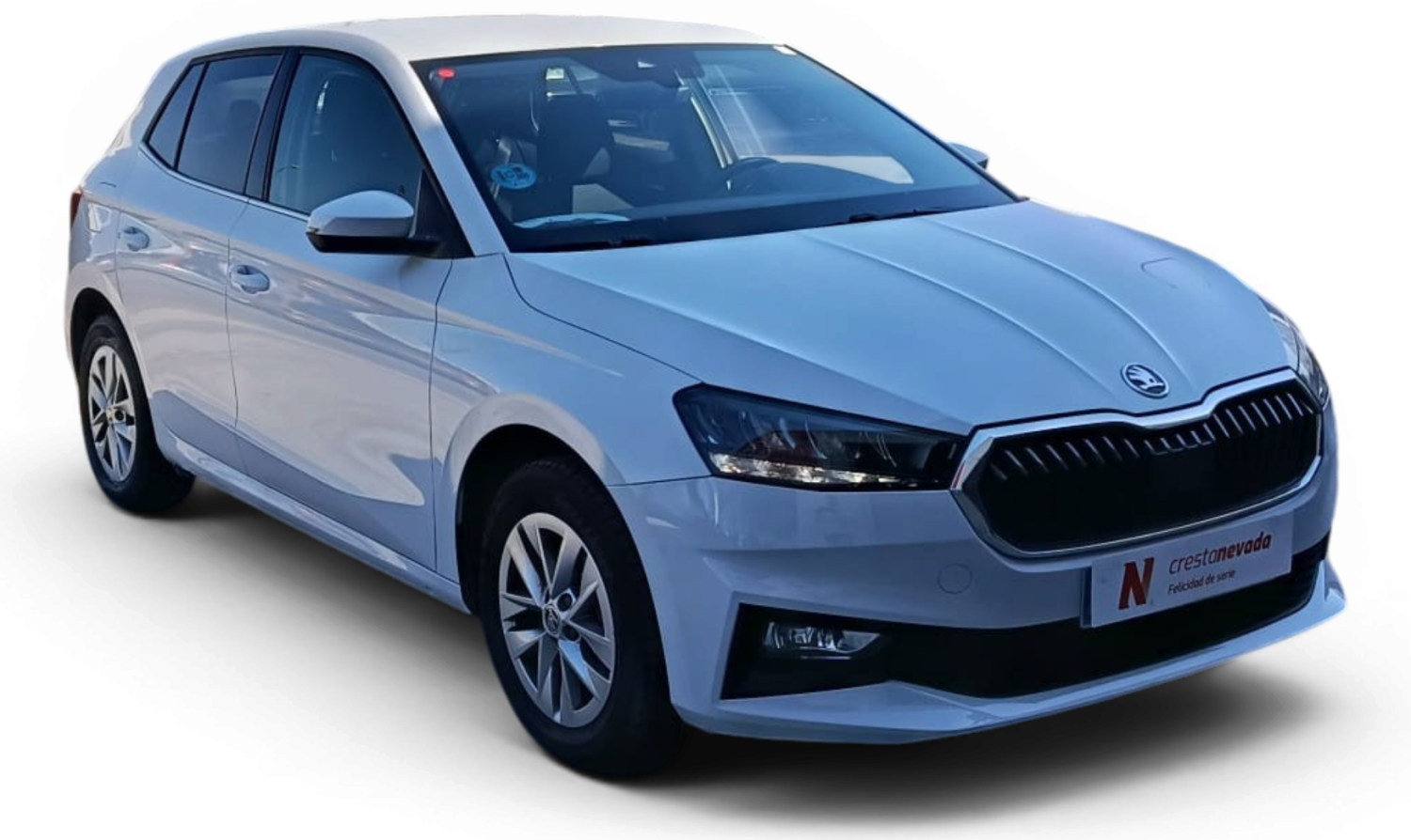 Imagen de Skoda Fabia
