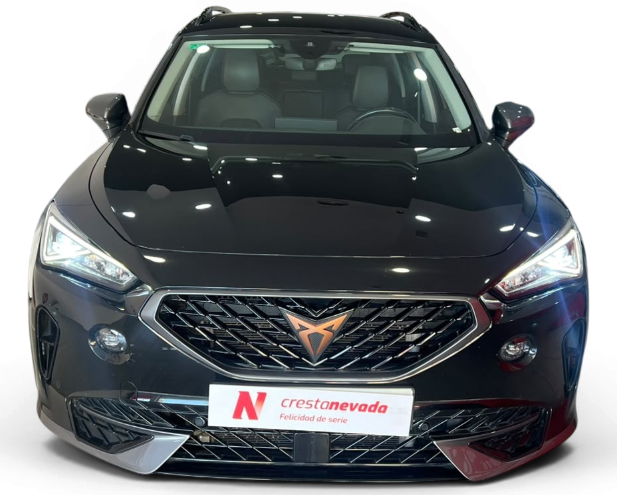 Imagen de cupra Formentor