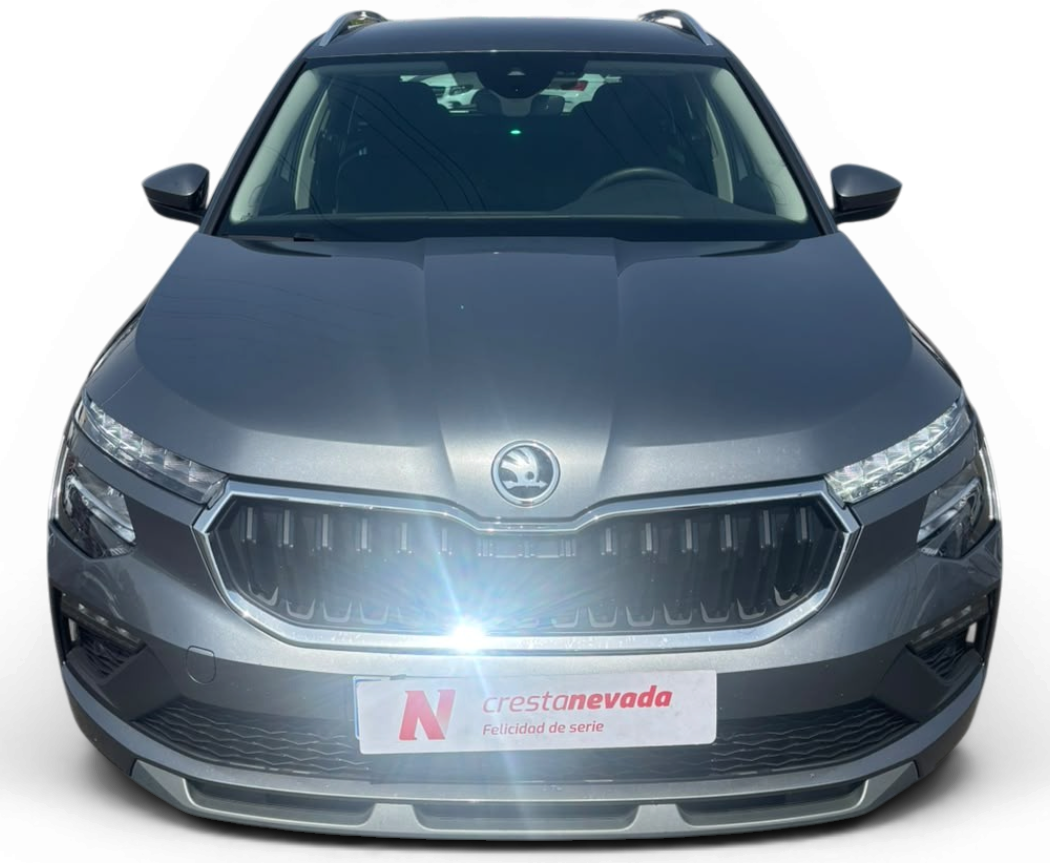 Imagen de Skoda Kamiq