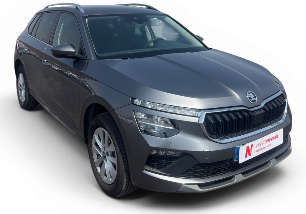 Imagen de Skoda Kamiq