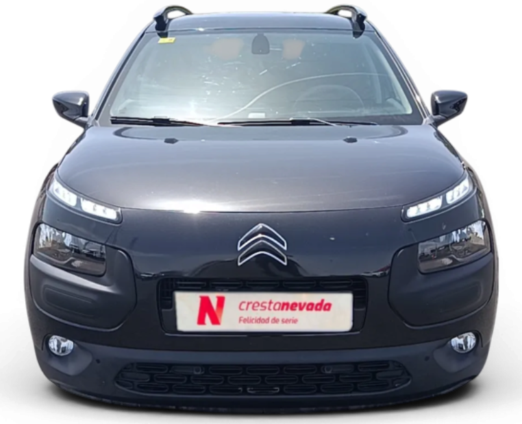 Imagen de CITROEN C4 Cactus