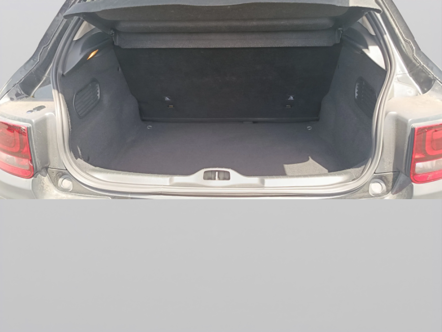 Imagen de CITROEN C4 Cactus