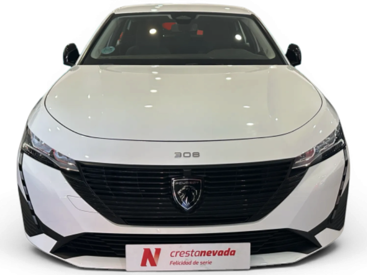 Imagen de Peugeot 308