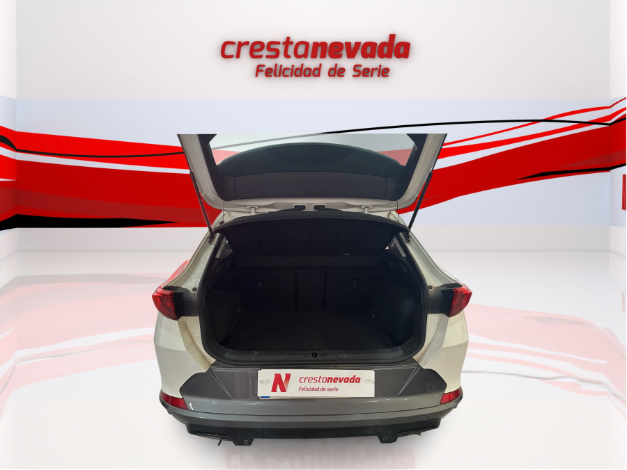 Imagen de cupra Formentor