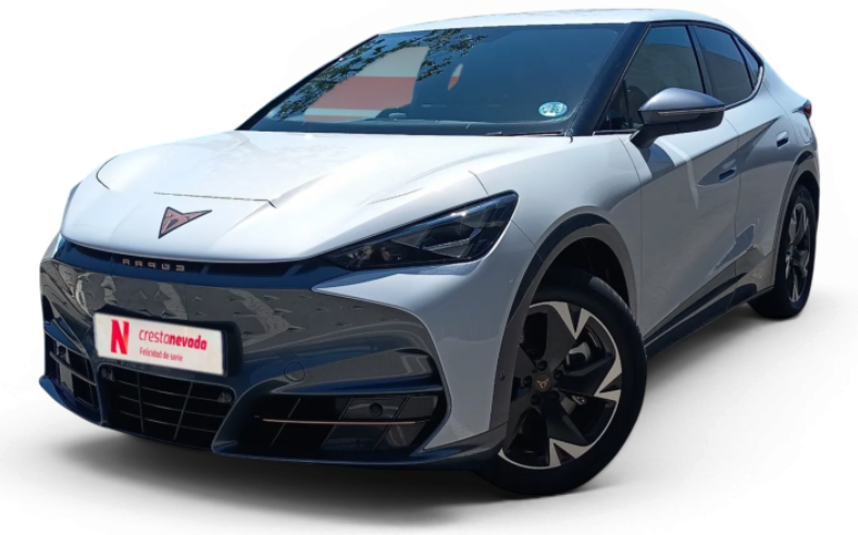 Imagen de cupra Tavascan