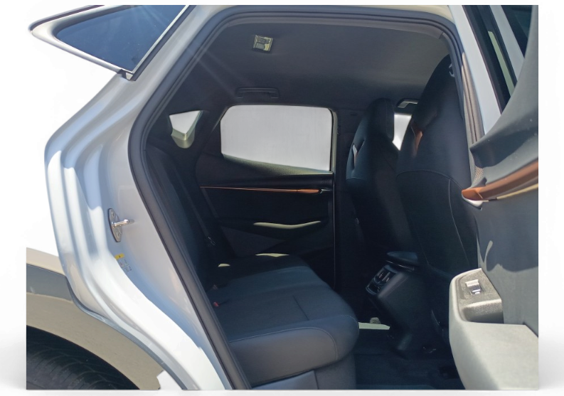 Imagen de cupra Tavascan