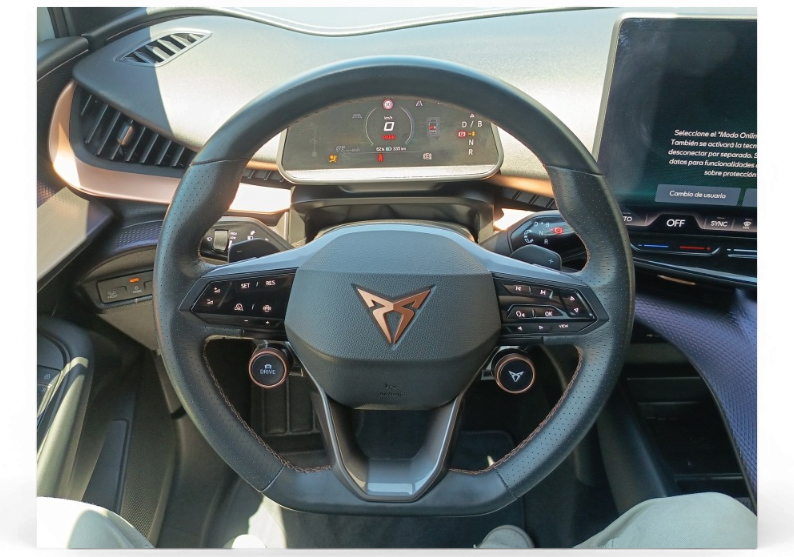 Imagen de cupra Tavascan