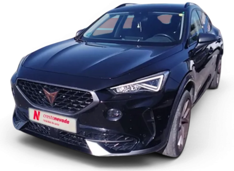 Imagen de cupra Formentor