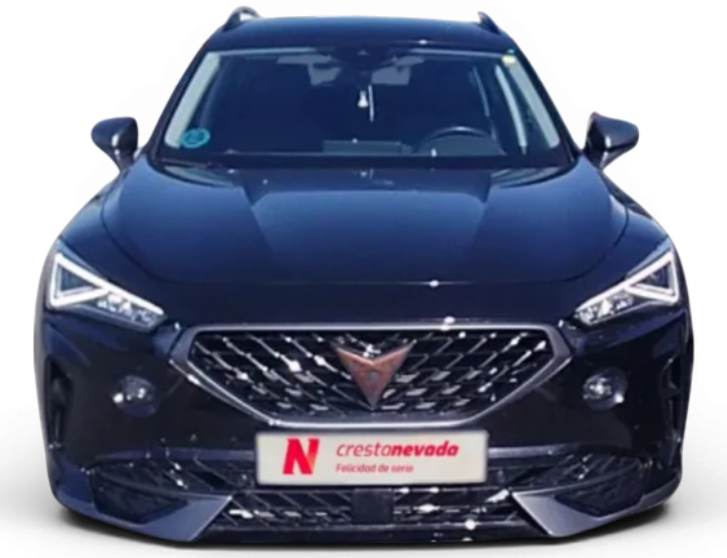 Imagen de cupra Formentor