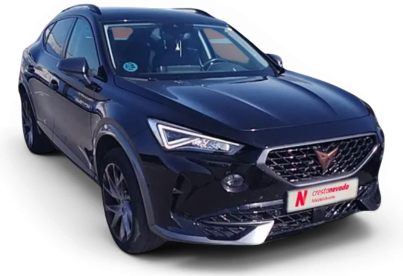 Imagen de cupra Formentor