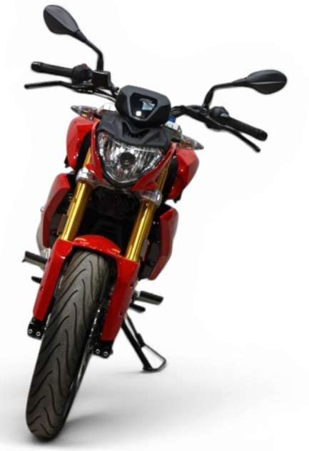 Imagen de BMW G 310 R