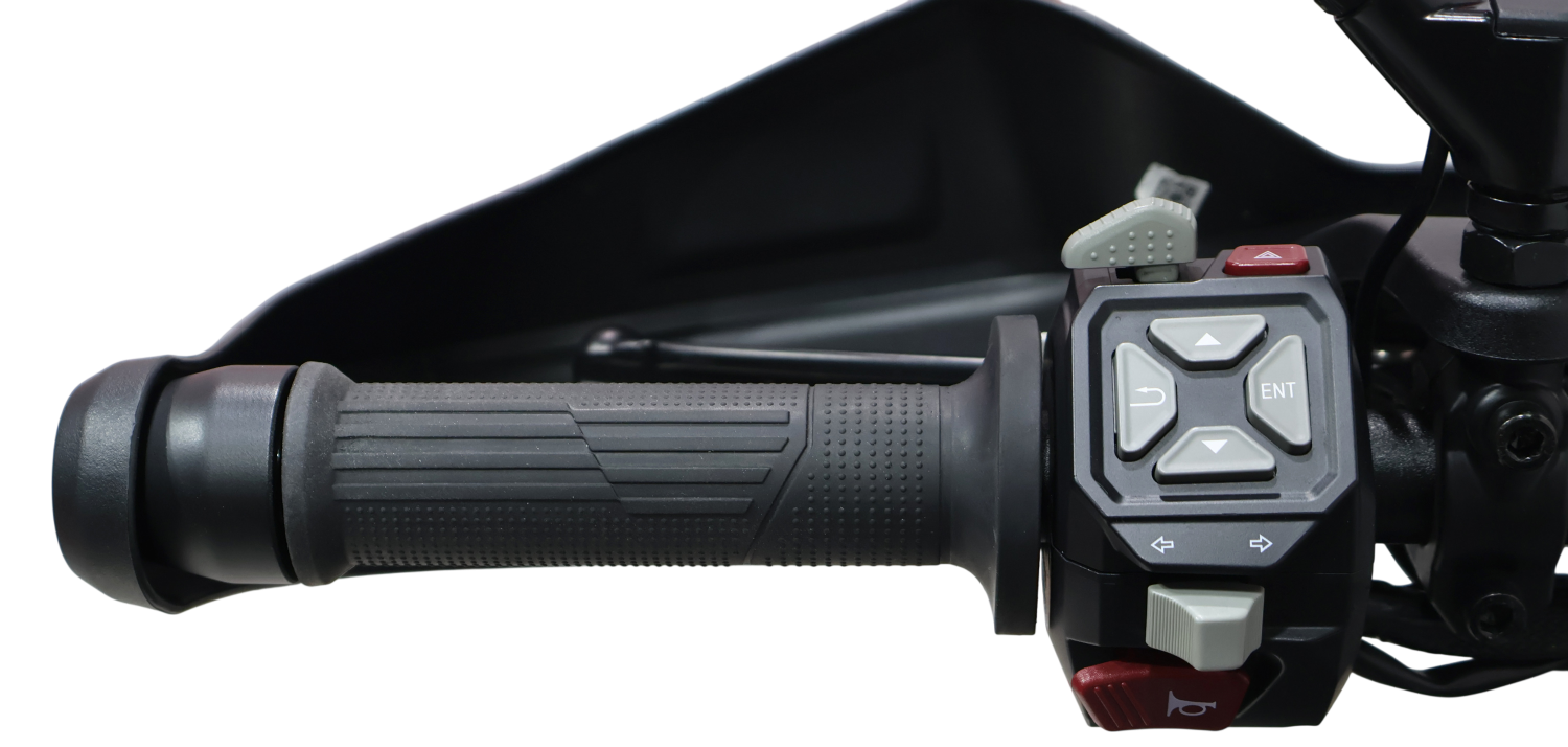 Imagen 8 de VOGE 900 DSX Gasolina 95 CV por 8.290 €