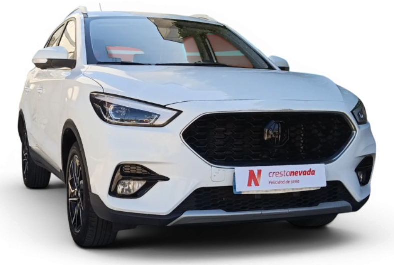 Imagen de Mg ZS