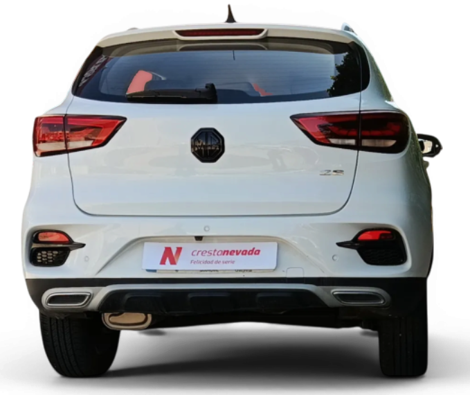 Imagen de Mg ZS
