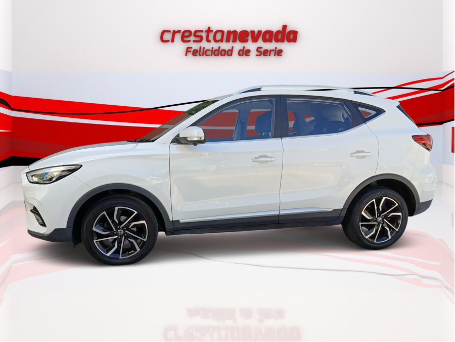 Imagen de Mg ZS
