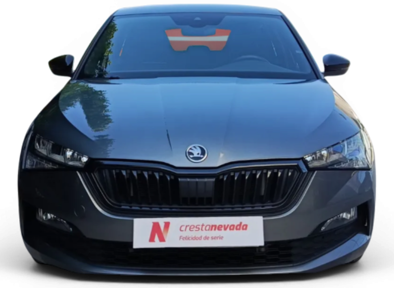 Imagen de Skoda Scala