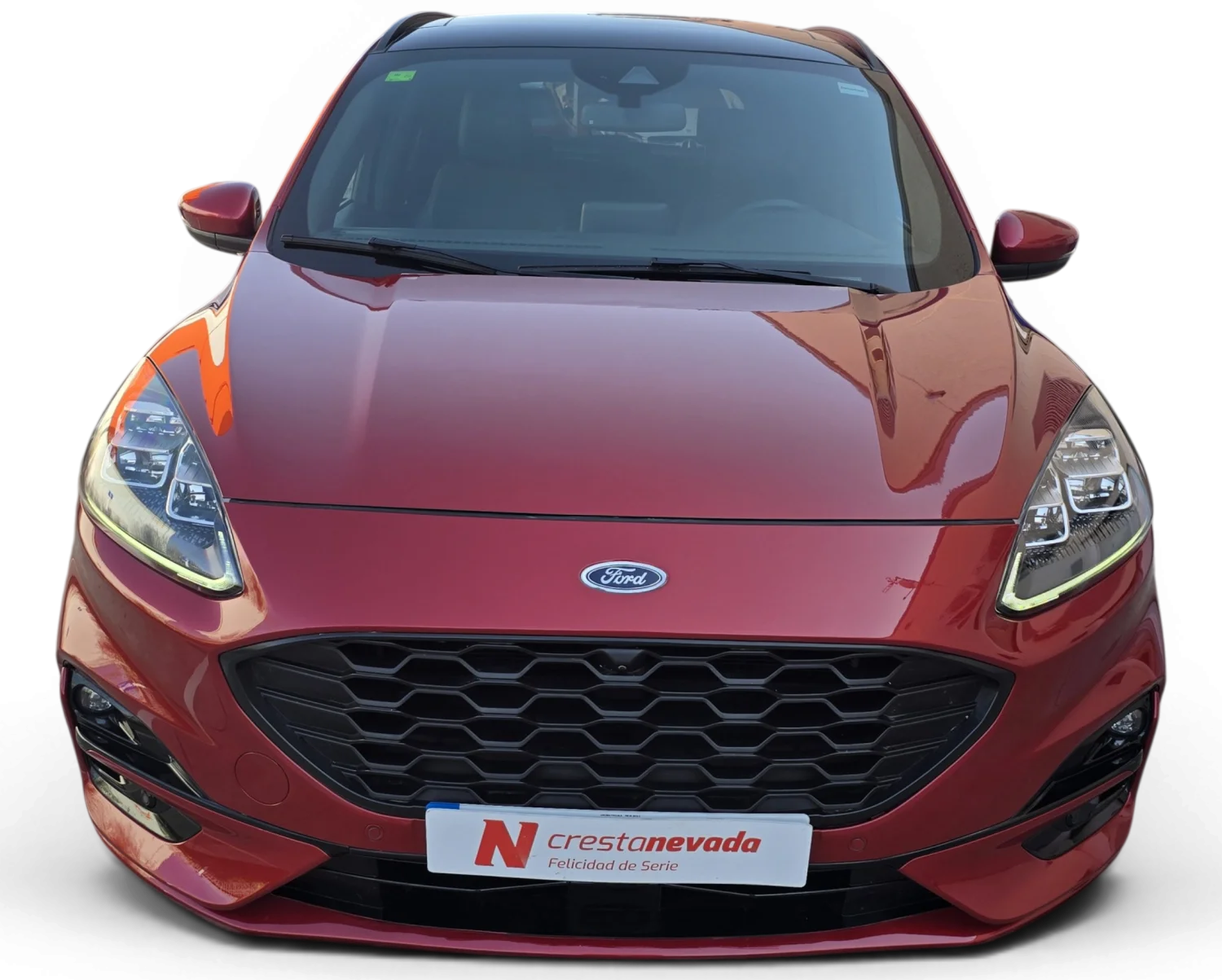 Imagen de Ford Kuga