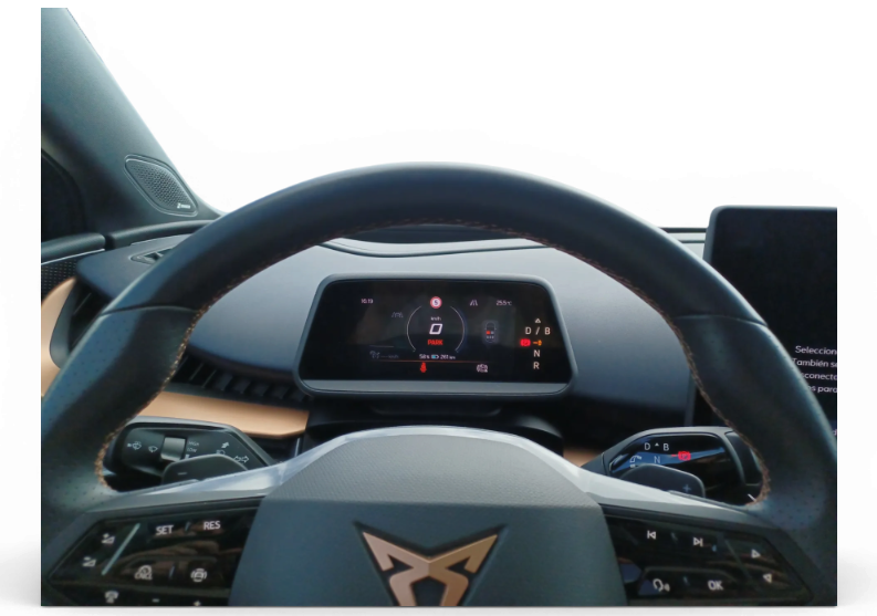 Imagen de cupra Tavascan