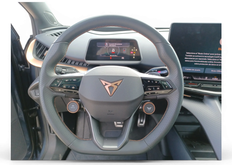 Imagen de cupra Tavascan