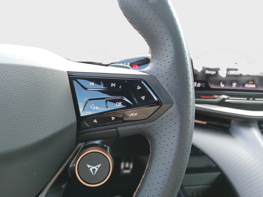 Imagen de cupra Tavascan