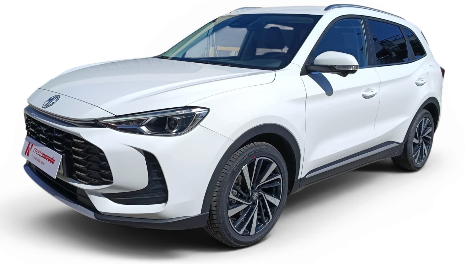 Imagen de Mg ZS