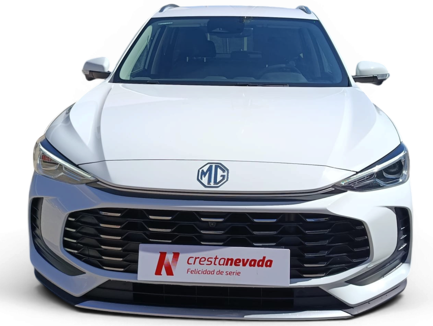 Imagen de Mg ZS