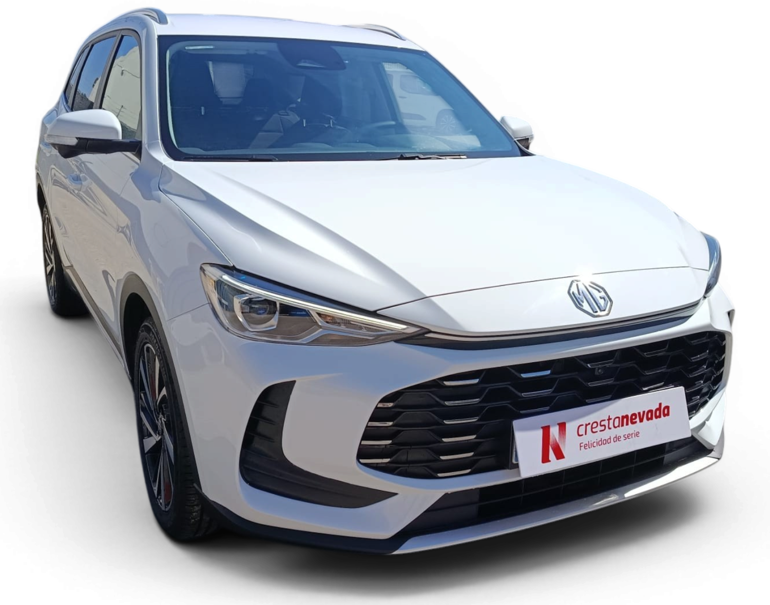 Imagen de Mg ZS
