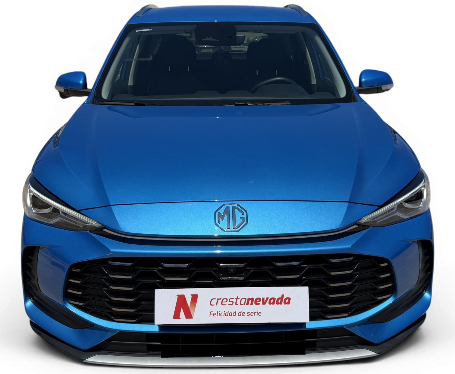 Imagen de Mg ZS
