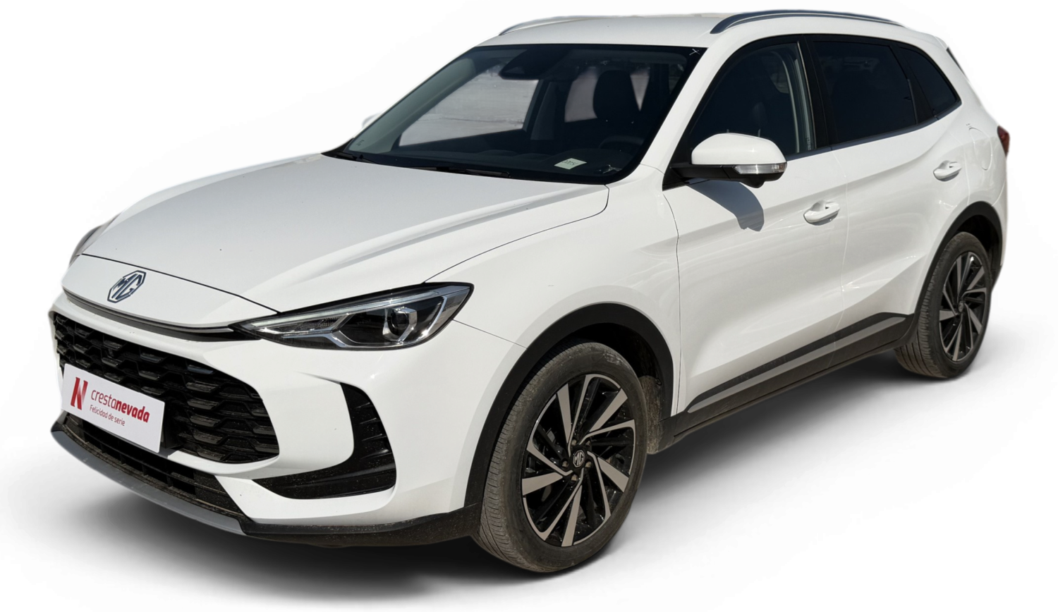 Imagen de Mg ZS