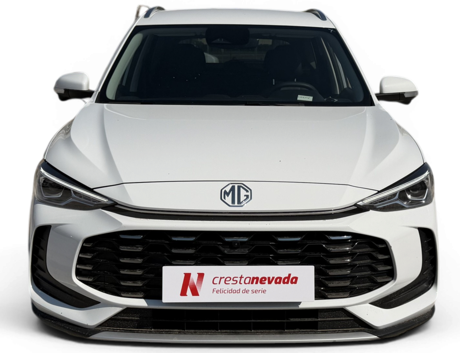Imagen de Mg ZS