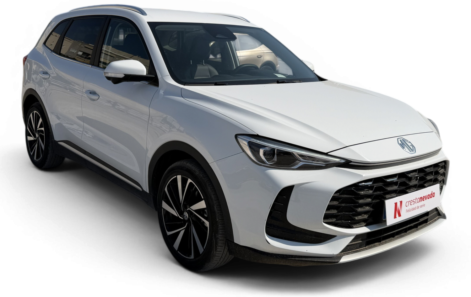 Imagen de Mg ZS