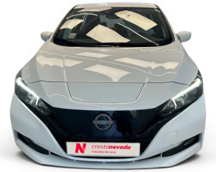Imagen de NISSAN LEAF