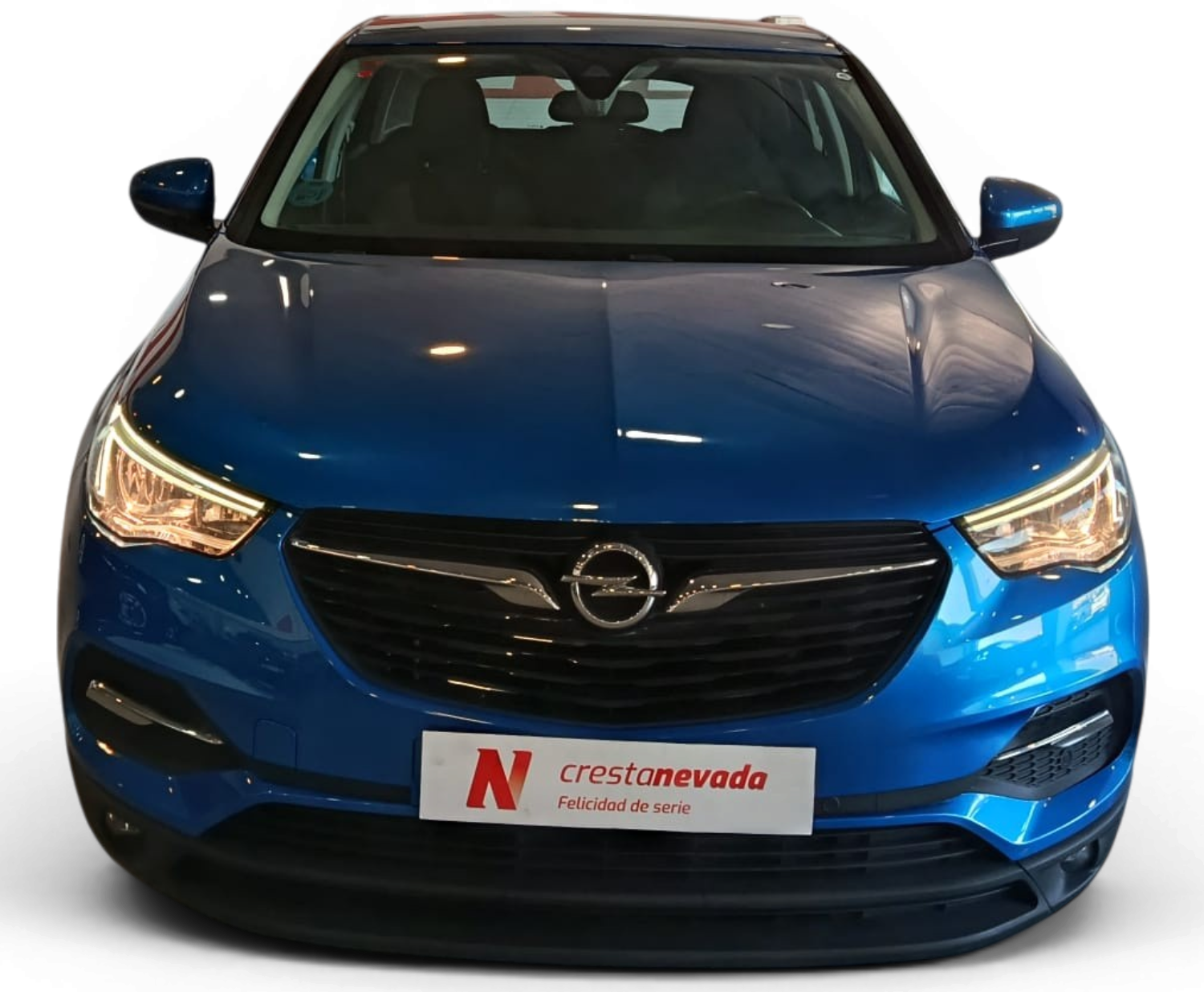 Imagen de Opel Grandland X
