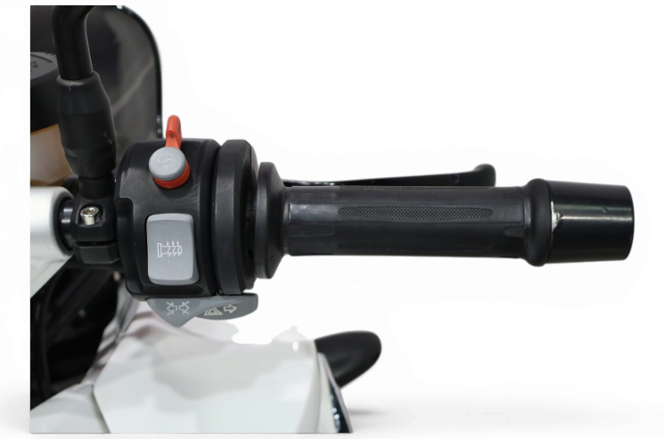 Imagen de BMW K 1200 R