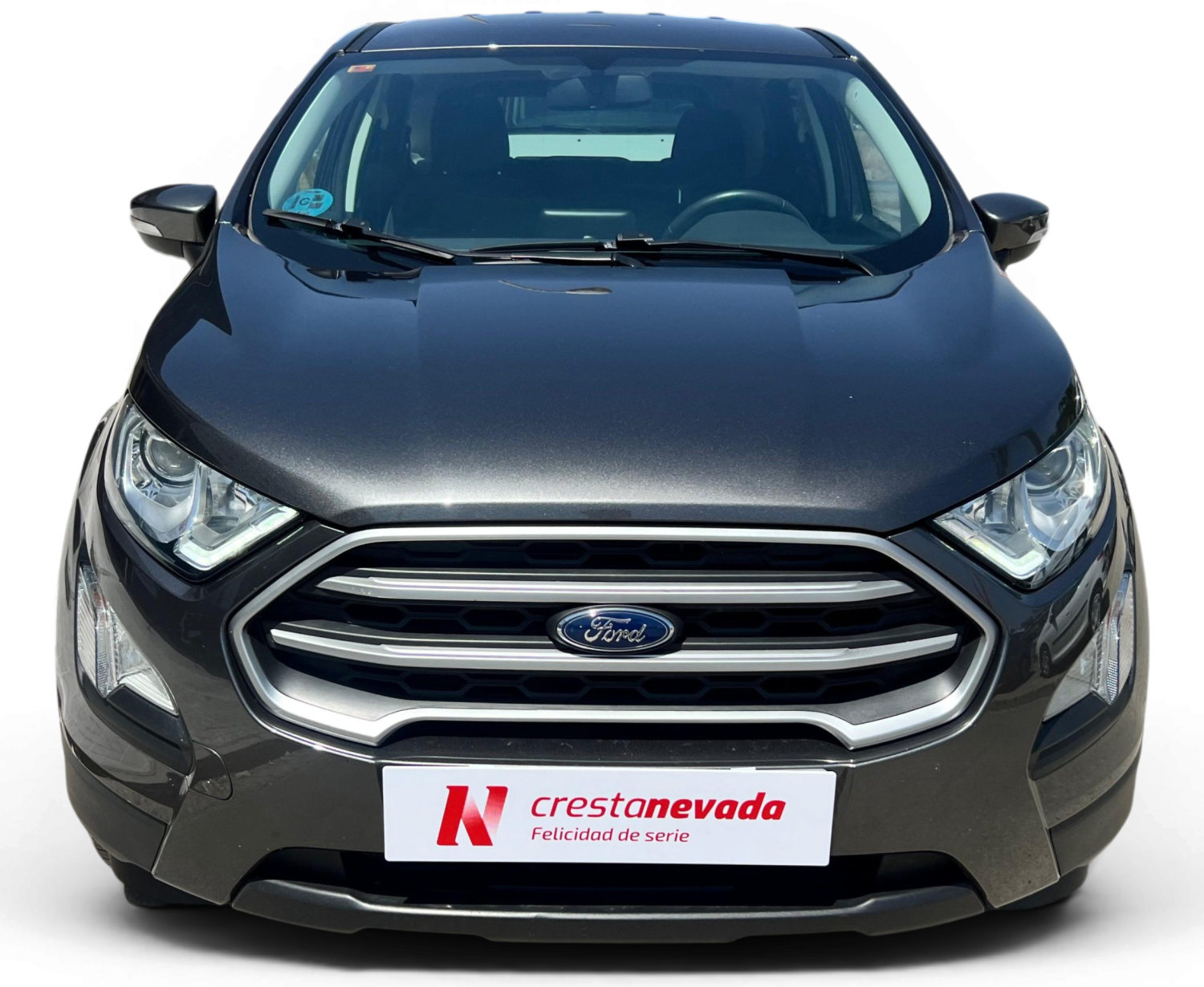 Imagen 2 de Ford EcoSport Gasolina 125 CV