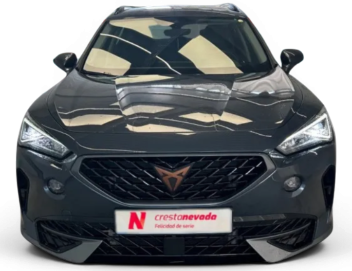 Imagen de cupra Formentor
