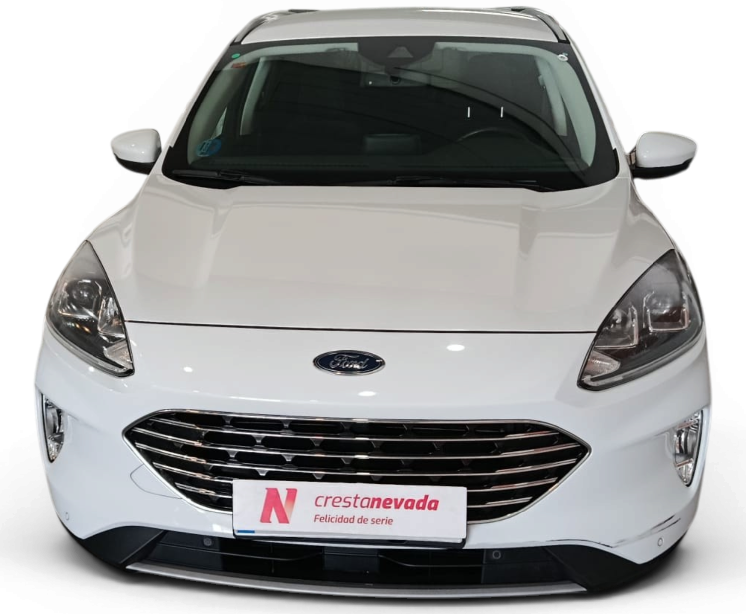 Imagen de Ford Kuga