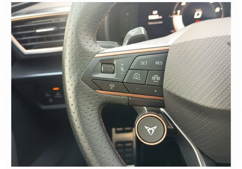 Imagen de cupra León