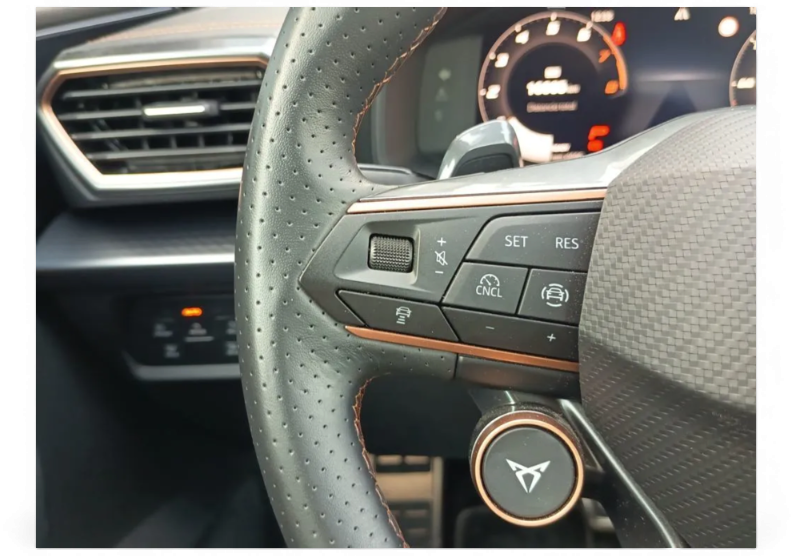 Imagen de cupra León